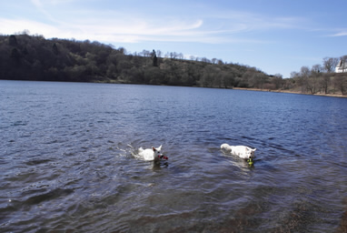 Coralie & Keona beim Baden